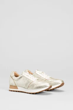 Beate Trainer