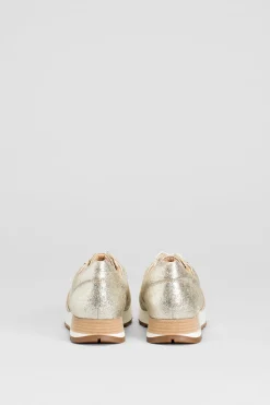 Beate Trainer